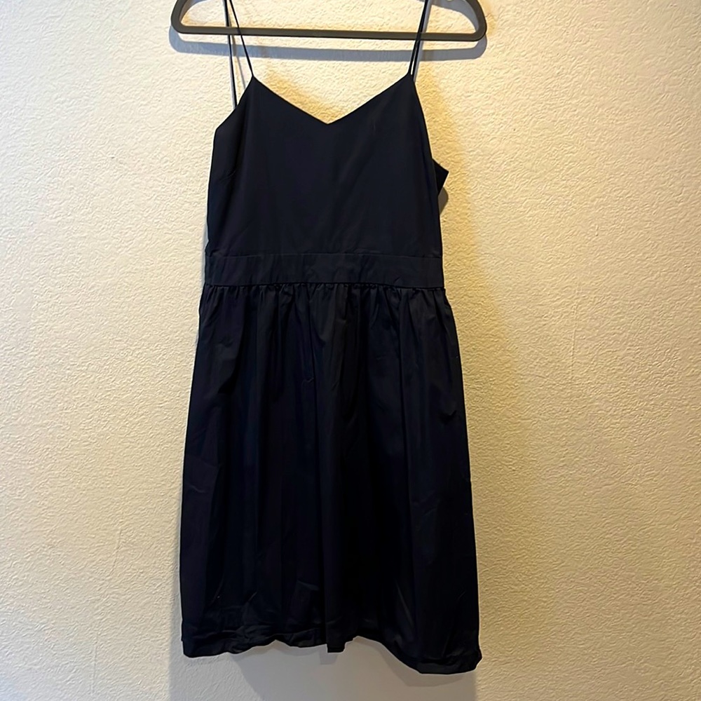 Blue picnic dress